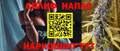 Альфа ПВП Будённовск