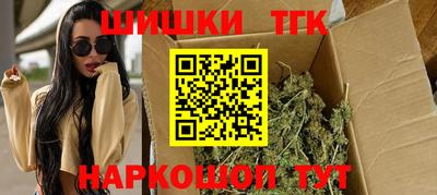 Альфа ПВП Будённовск