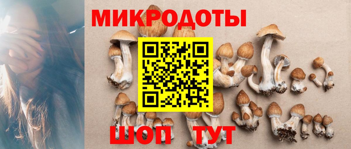 Псилоцибиновые грибы MAGIC MUSHROOMS  Вход с VPN  Канск  Псилоцибиновые грибы Psilocybine cubensis 
